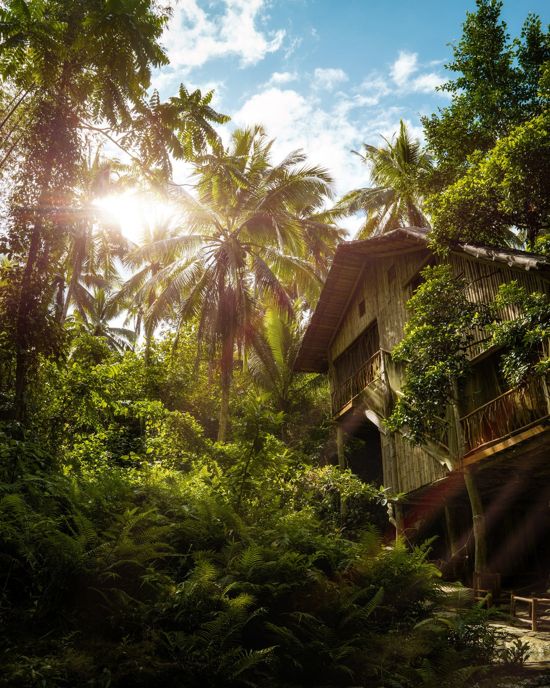 7 conseils de voyage écologiques pour réduire votre empreinte carbone